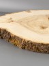 Спил дерева клён d 30-50 см ТВ-2235