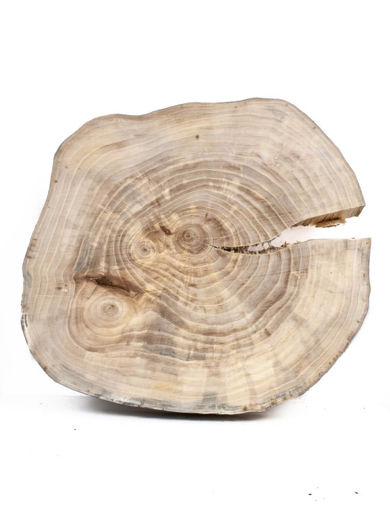 Спил дерева вяз d 29-33 см ТВ-992