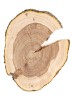 Спил дерева яблоня d 13-18 см ТВ-1350