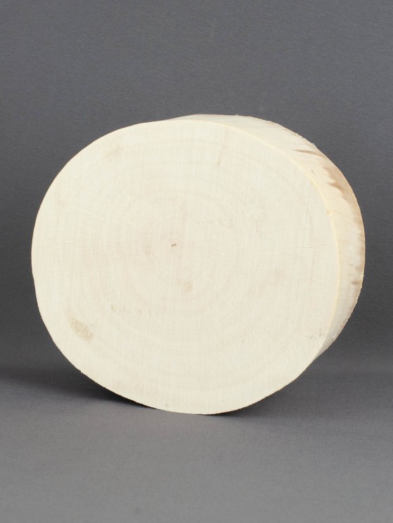 Спил дерева берёза d 13-14 см, толщина 46-55 мм ТВ-201