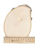 Спил дерева берёза d 12-16 см, толщина 18-20 мм ТВ-256