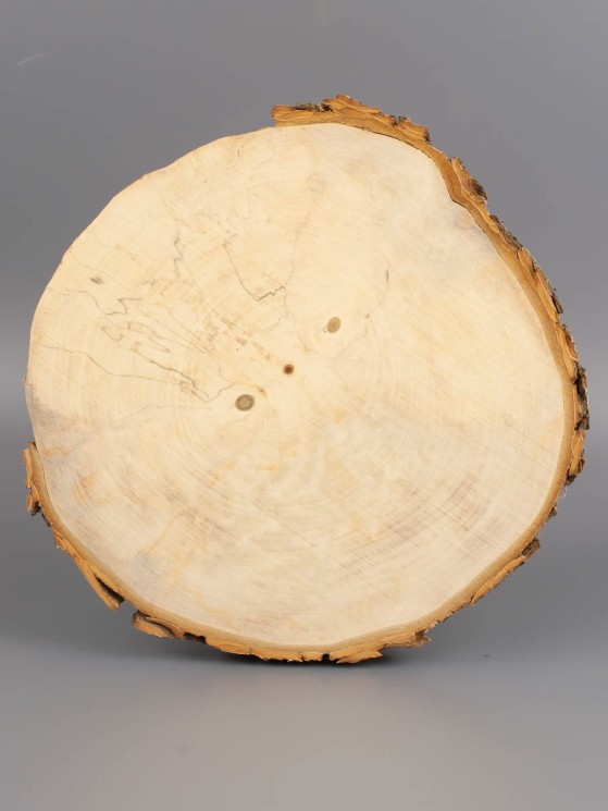 Спил дерева каштан (шпальт) d 17-19 см ТВ-1905