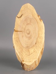 Спил дерева слива d 10-21 см ТВ-1977