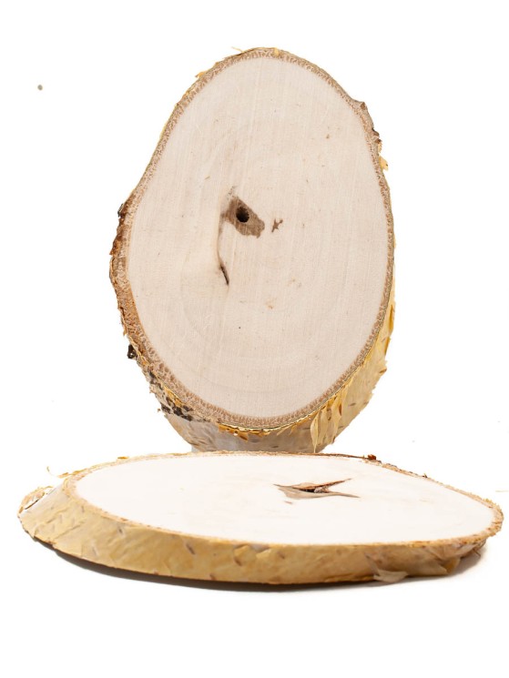 Спилы берёзы 8-12 см (2 шт.) ТВ-807