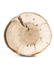 Спил дерева липа d 12-14 см ТВ-1351