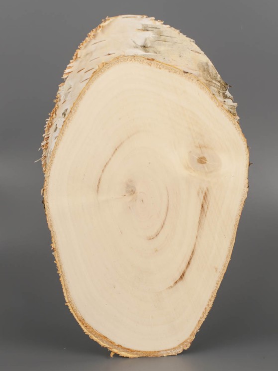 Спил дерева берёза 12-23 см ТВ-1623