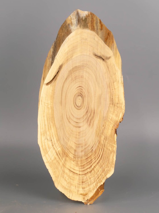 Спил дерева слива d 10-21 см ТВ-1978