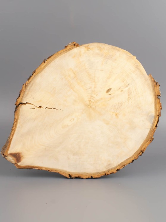 Спил дерева каштан (шпальт) d 18-21 см ТВ-1907