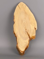 Спил дерева слива d 12-26 см ТВ-1979