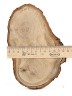 Спил дерева дуб d 12-18 см. ТВ-928