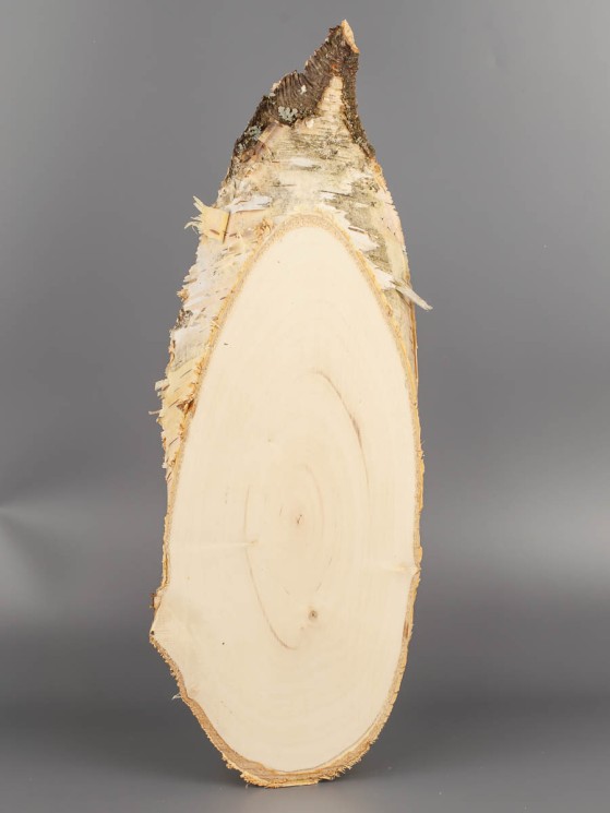 Спил дерева берёза 12-30 см ТВ-1625