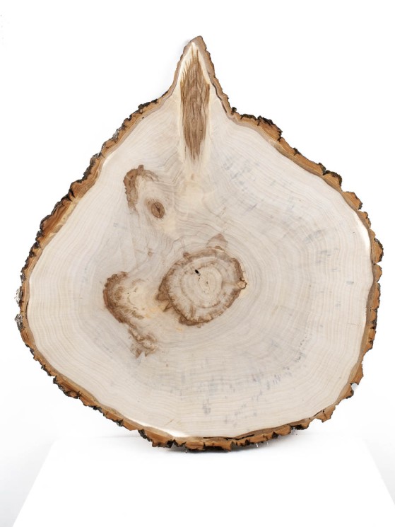 Спил дерева тополь d 42-45 см ТВ-1634