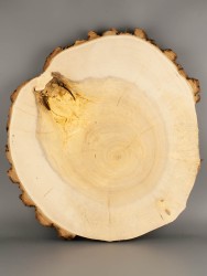 Спил дерева ива d 40-44 см ТВ-1858