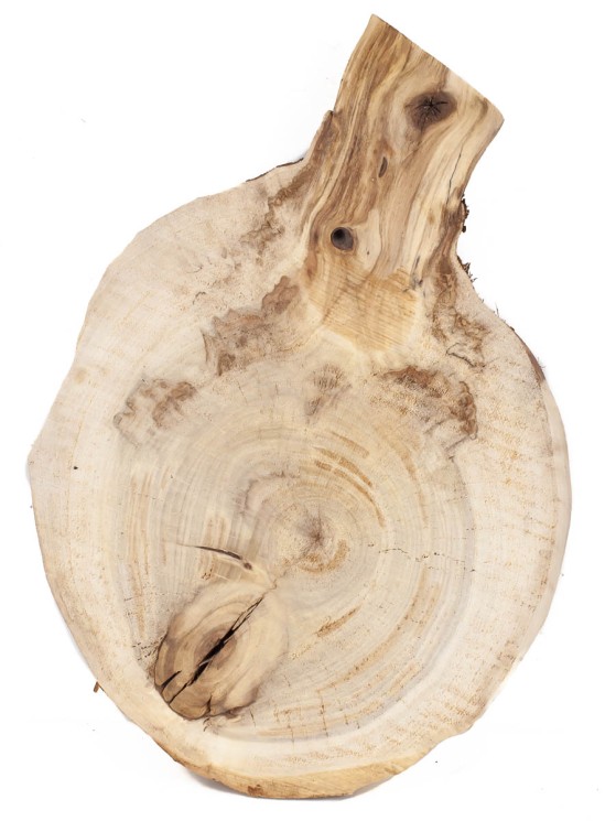 Спил дерева тополь d 20-26 см ТВ-1438