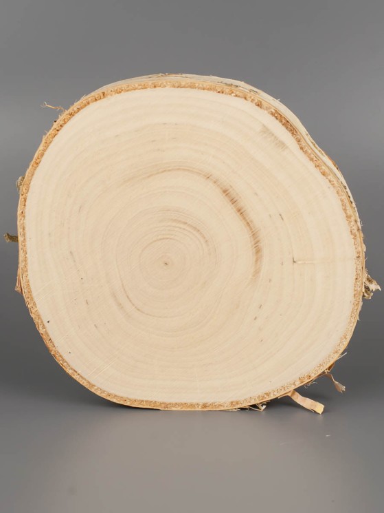 Спил дерева берёза 14-16 см ТВ-1626