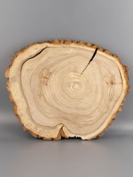 Спил дерева вяз (карагач) d 30-35 см ТВ-1909