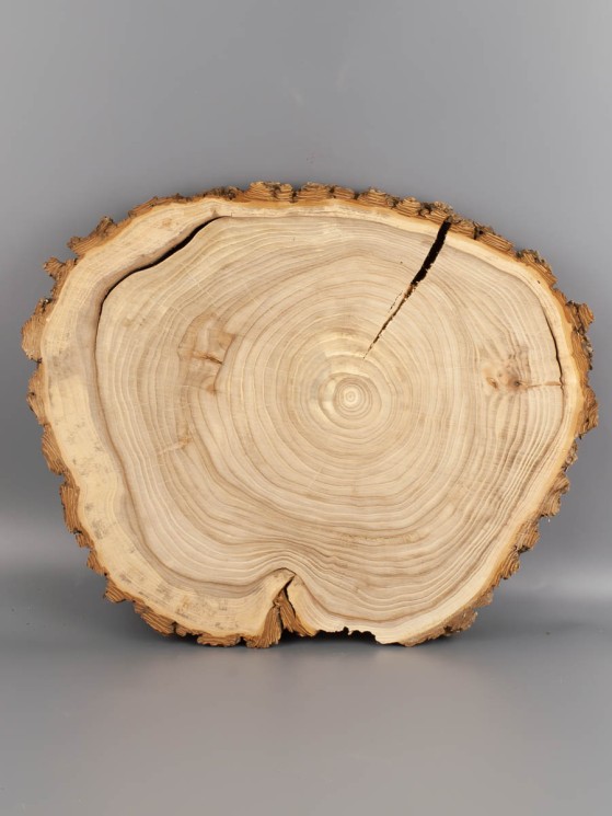 Спил дерева вяз (карагач) d 30-35 см ТВ-1909