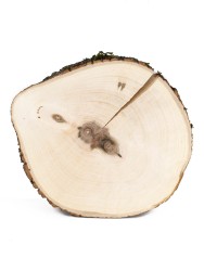 Спил дерева груша d 17-19 см ТВ-1073