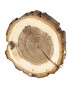 Спил дерева дуб d 11-13 см ТВ-1355