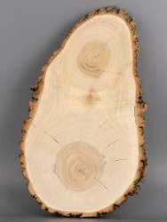 Спил дерева ива d 17-31 см ТВ-1982