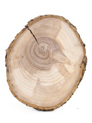 Спил дерева ясень d 19-22 см ТВ-1074