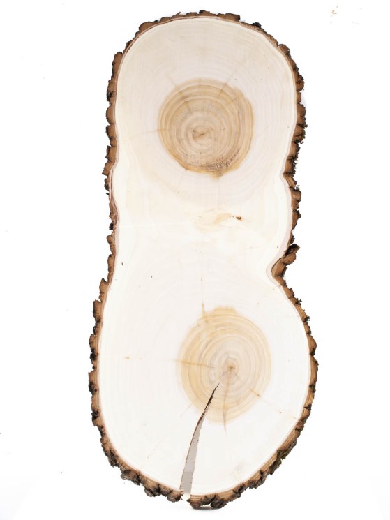 Спил дерева ива d 25-54 см ТВ-1440