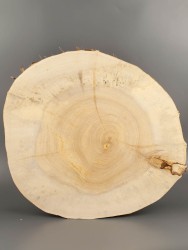 Спил дерева ива d 40-45 см ТВ-1628