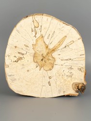 Спил дерева берёза (шпальт) d 25-28 см ТВ-1780