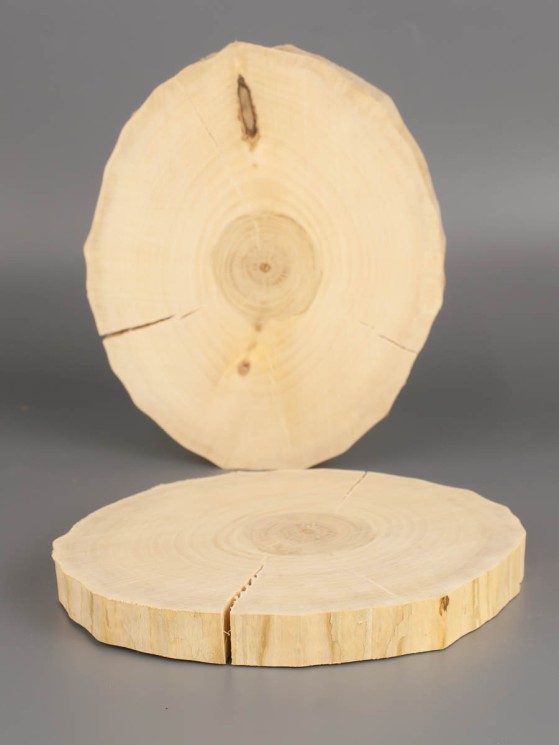 Спил дерева клён d 12-14 см (2 шт) ТВ-1983