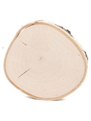 Спил дерева берёза d 11-12 см КЛ-0073