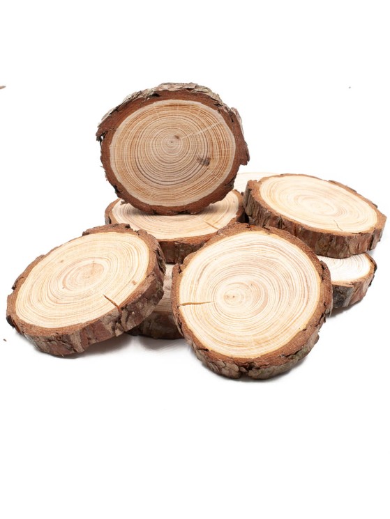 Спилы сосны d 3-5 см (10 шт.) ТВ-844