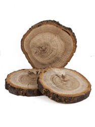 Спил дерева дуб d 7-9 см (3 шт.) ТВ-1098