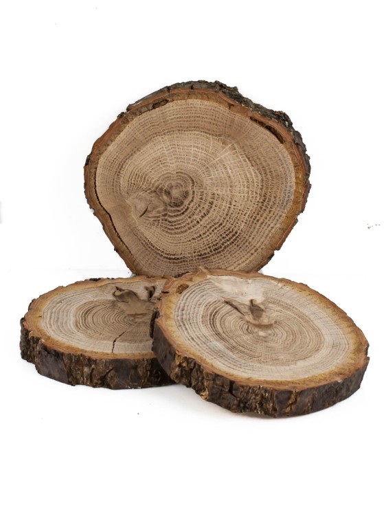 Спил дерева дуб d 7-9 см (3 шт.) ТВ-1098