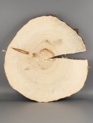 Спил дерева тополь d 37-39 см ТВ-1862