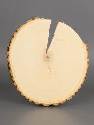 Спил дерева клён d 14-16 см ТВ-1984