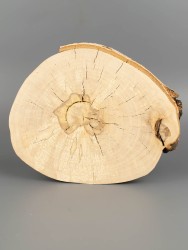 Спил дерева берёза d 20-25 см ТВ-1782