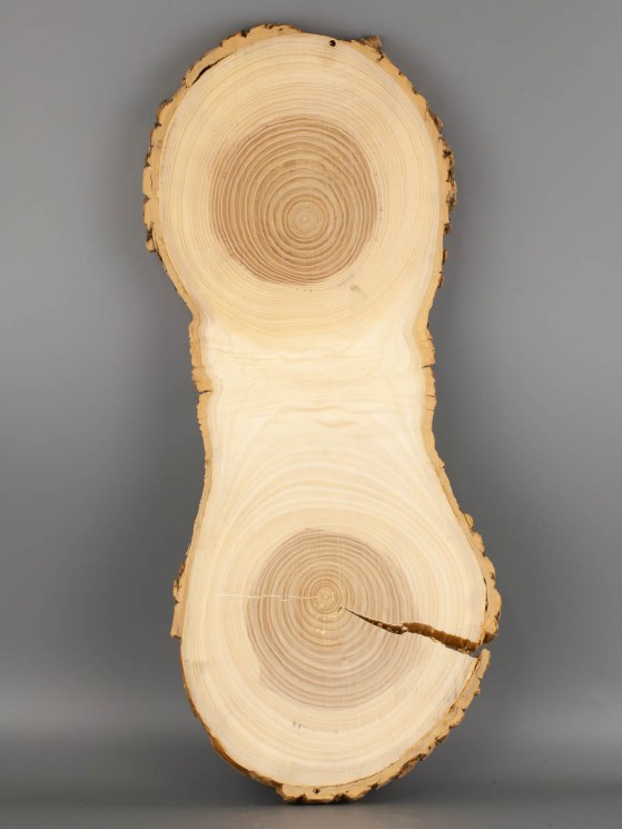 Спил дерева ясень d 19-46 см ТВ-1863