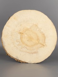 Спил дерева клён (шпальт) d 25-27 см ТВ-1985