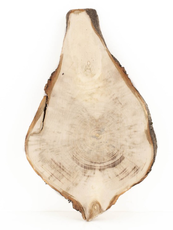 Спил дерева каштан d 15-25 см ТВ-1686