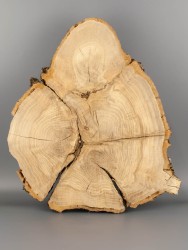 Спил дерева дуб d 30-33 см ТВ-1864