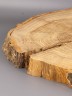 Спил дерева дуб d 30-33 см ТВ-1864
