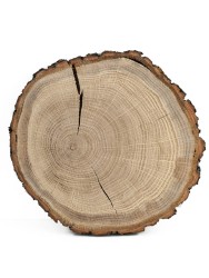 Спил дерева дуб d 18-20 см КЛ-0039
