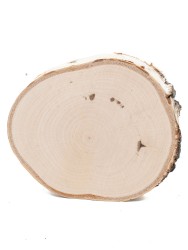 Спил дерева берёза d 10-12 см КЛ-0074