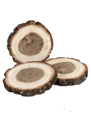 Спил дерева дуб d 7-9 см (3 шт.) ТВ-1002