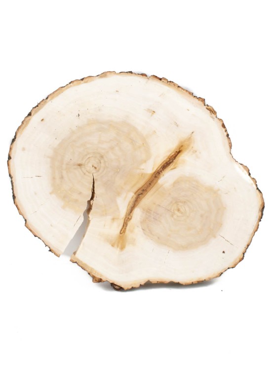 Спил дерева ива d 16-20 см ТВ-1475