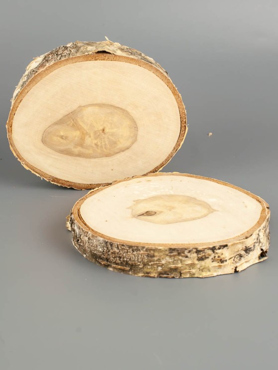 Спил дерева берёза 2 шт. d 10-12 см ТВ-1784