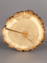 Спил дерева дуб d 17-19 см ТВ-1987