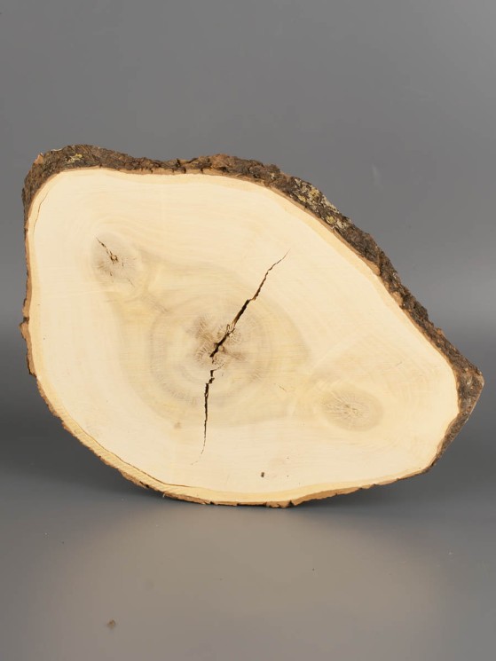 Спил дерева клён d 14-21 см ТВ-1988