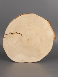 Спил дерева берёза d 17-19 см ТВ-1989