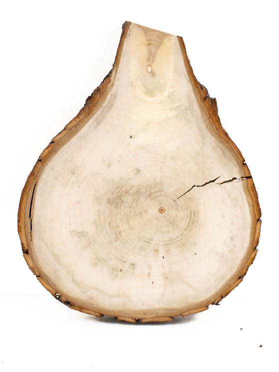 Спил дерева каштан d 14-18 см ТВ-1104